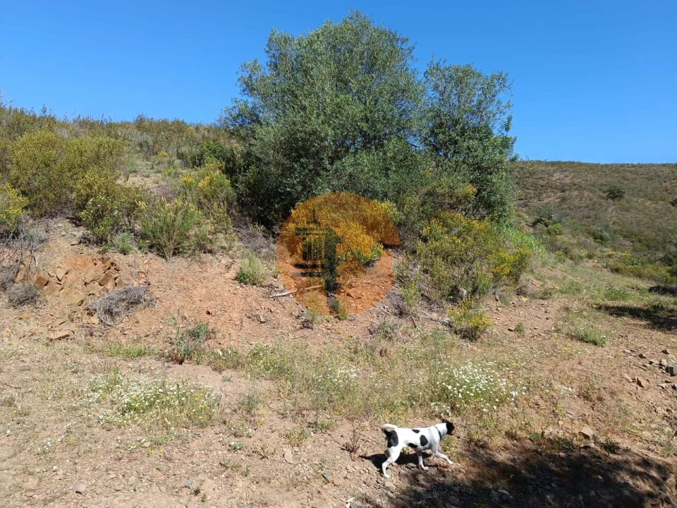 Terreno para Venda em Odeleite Foto 19