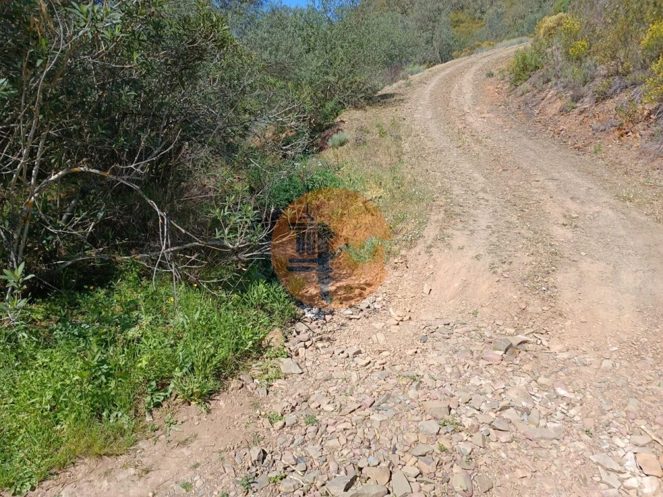 Terreno para Venda em Odeleite Foto 23