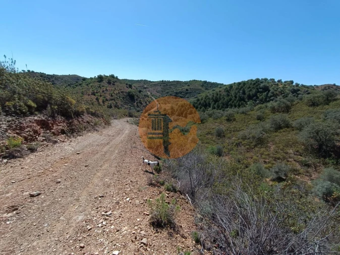 Terreno para Venda em Odeleite Foto 3