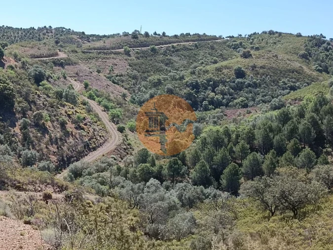 Terreno para Venda em Odeleite Foto 9