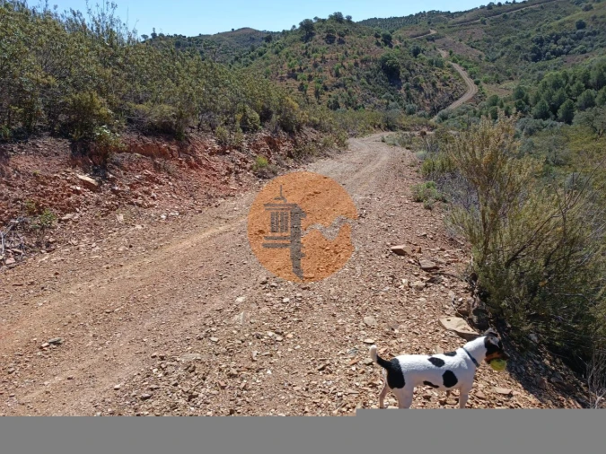 Terreno para Venda em Odeleite Foto 12