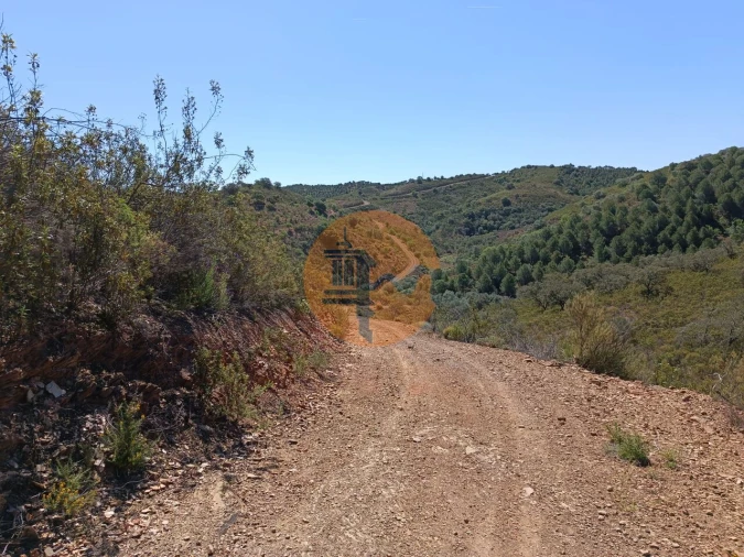 Terreno para Venda em Odeleite Foto 14