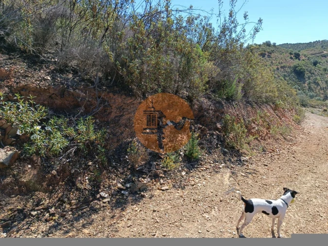 Terreno para Venda em Odeleite Foto 15