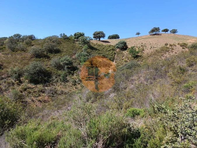 Terreno para Venda em Odeleite Foto 16
