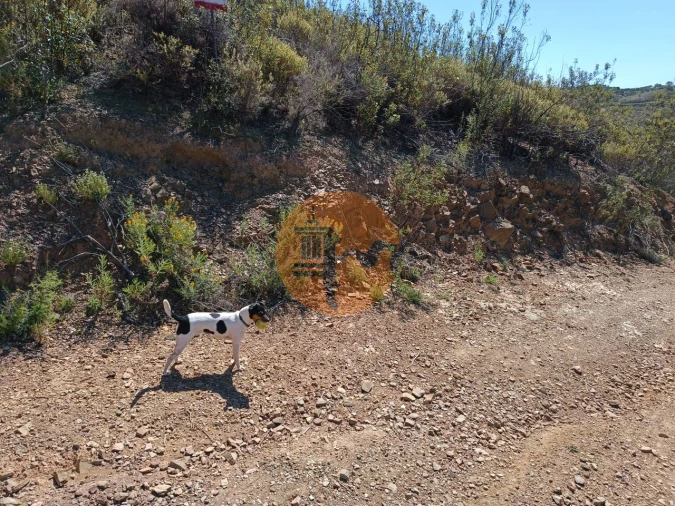 Terreno para Venda em Odeleite Foto 18
