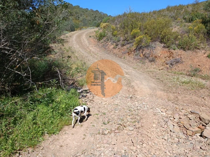 Terreno para Venda em Odeleite Foto 22