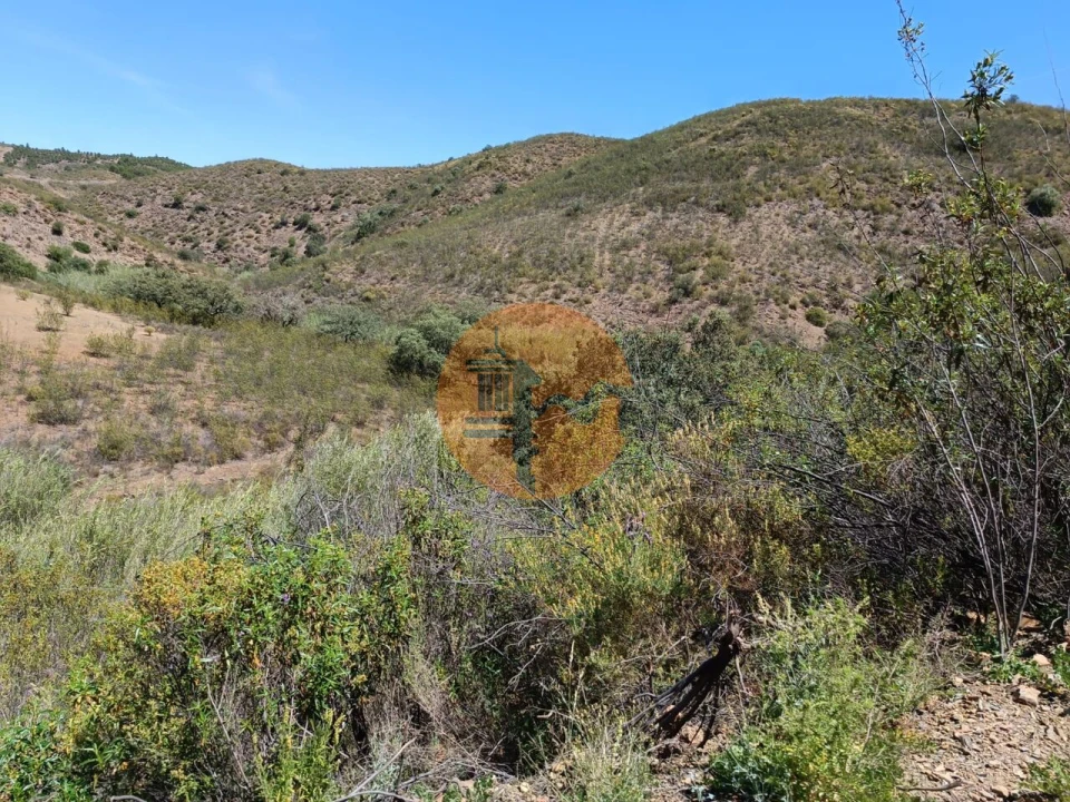 Terreno para Venda em Azinhal Foto 7