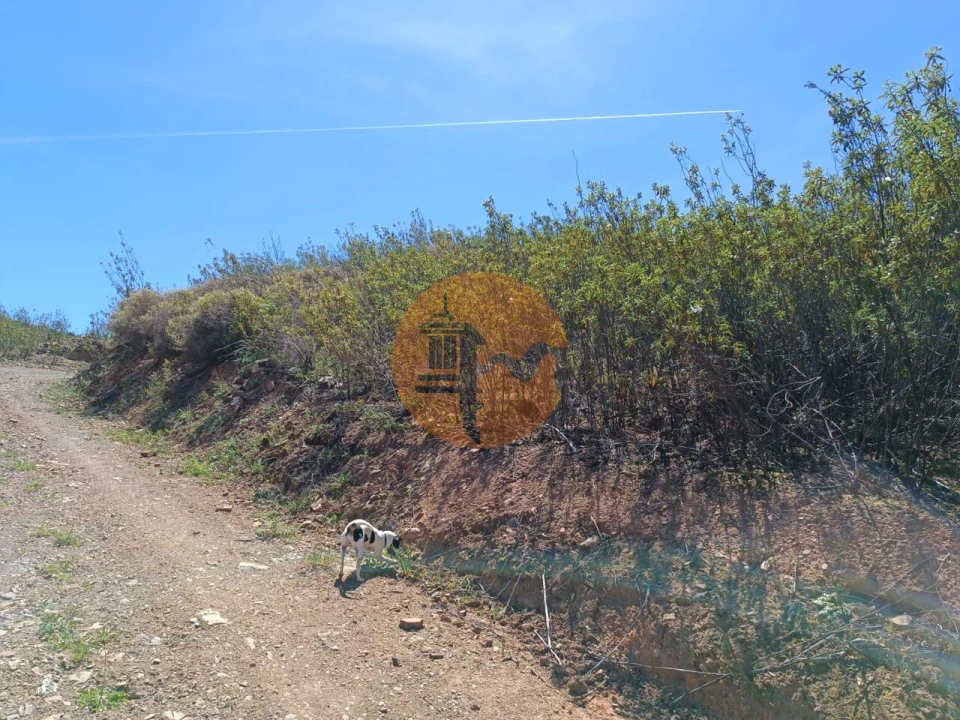 Terreno para Venda em Azinhal Foto 8