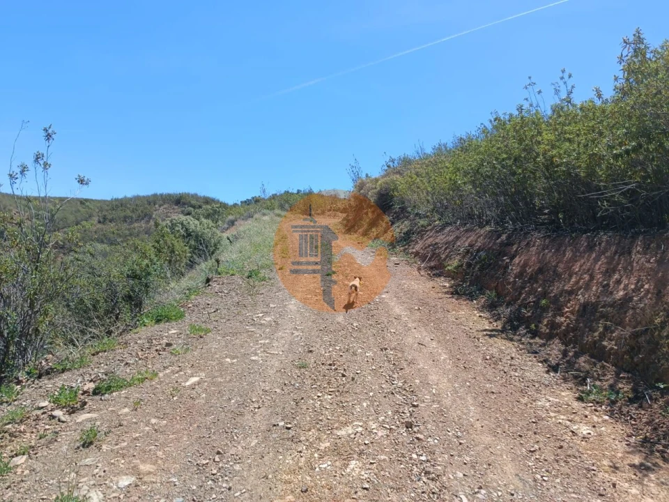 Terreno para Venda em Azinhal Foto 9
