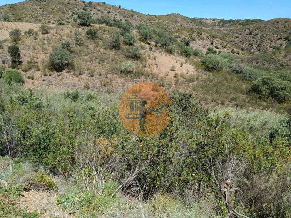 Terreno para Venda em Azinhal Foto 4