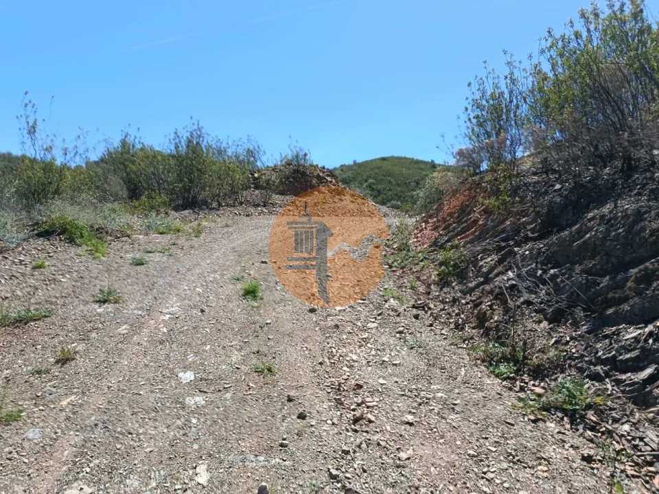 Terreno para Venda em Azinhal Foto 16