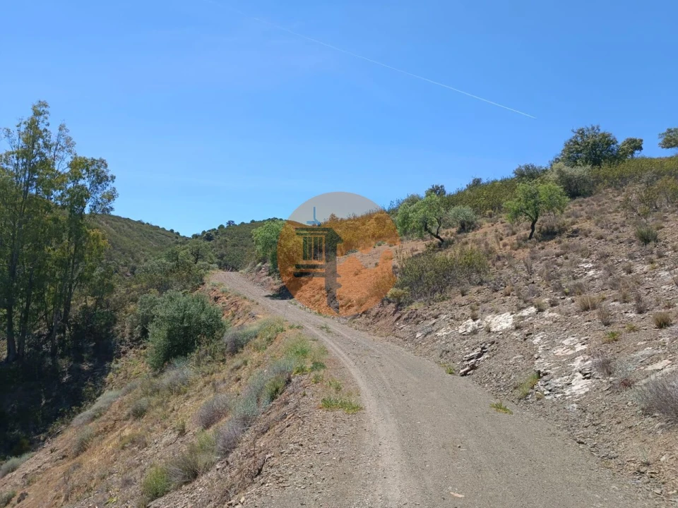 Terreno para Venda em Azinhal Foto 17