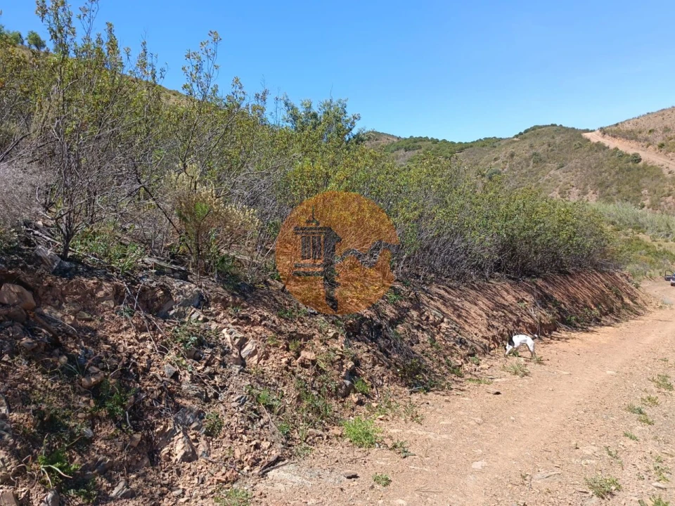 Terreno para Venda em Azinhal Foto 19