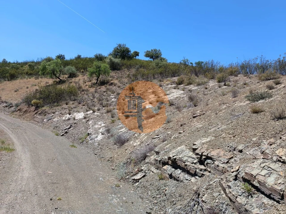 Terreno para Venda em Azinhal Foto 20