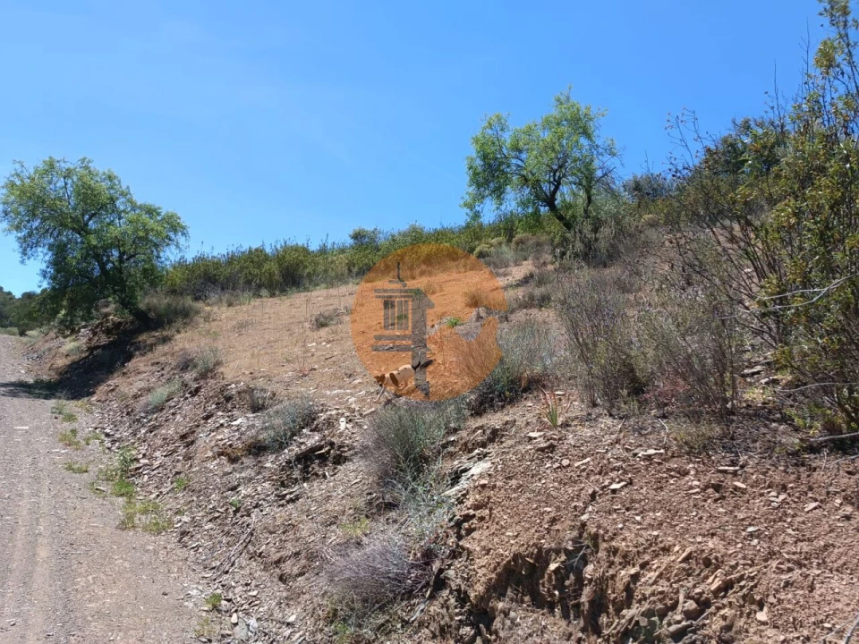 Terreno para Venda em Azinhal Foto 1