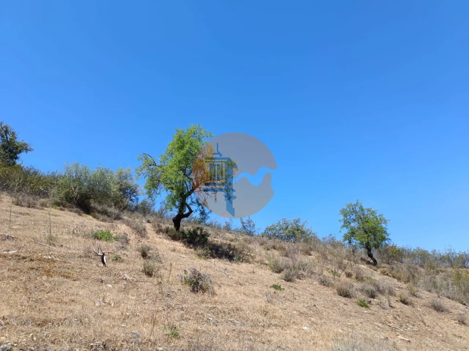 Terreno para Venda em Azinhal Foto 24