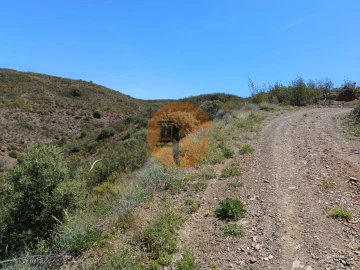 Terreno para Venda em Azinhal