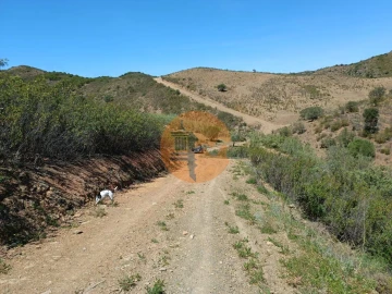 Terreno para Venda em Azinhal