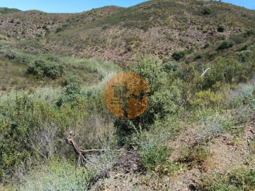 Terreno para Venda em Azinhal
