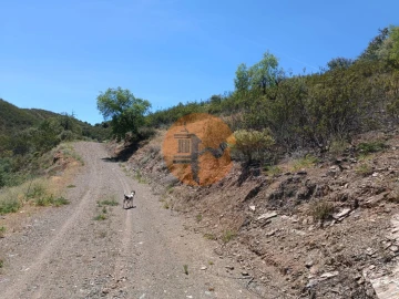 Terreno para Venda em Azinhal