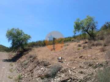 Terreno para Venda em Azinhal