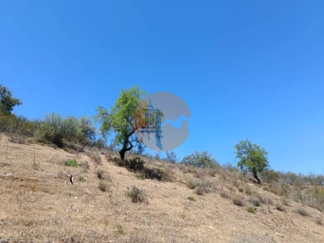 Terreno para Venda em Azinhal