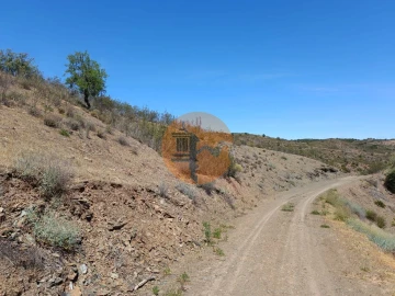 Terreno para Venda em Azinhal