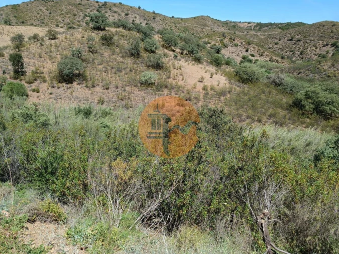 Terreno para Venda em Azinhal Foto 4