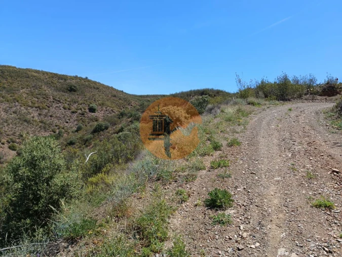 Terreno para Venda em Azinhal Foto 10