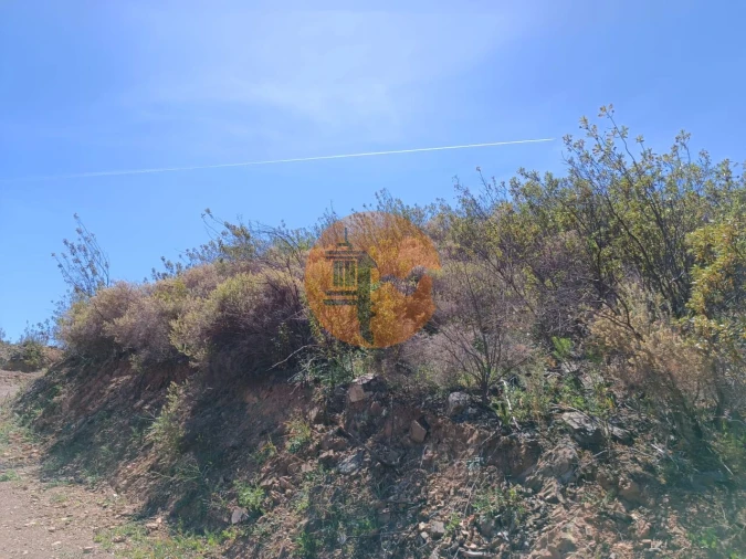 Terreno para Venda em Azinhal Foto 13