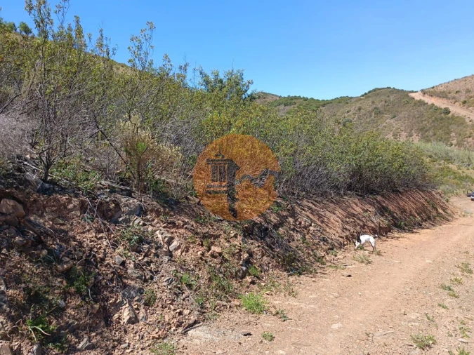 Terreno para Venda em Azinhal Foto 19