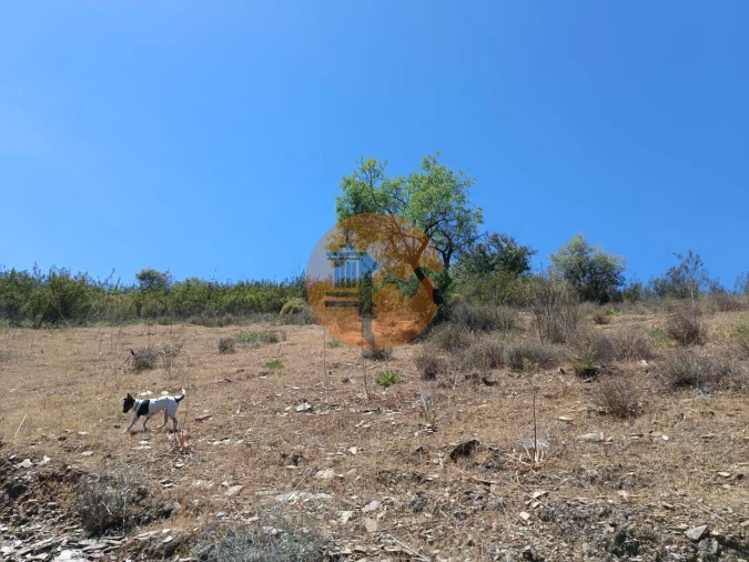 Terreno para Venda em Azinhal Foto 21