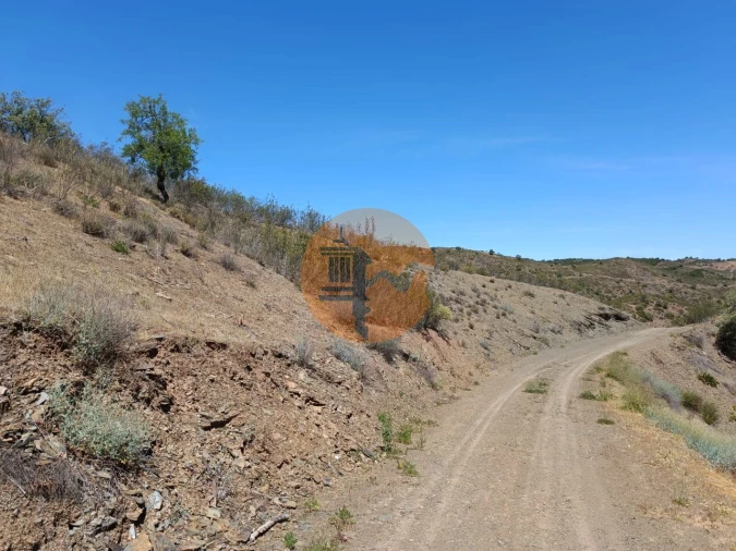 Terreno para Venda em Azinhal Foto 25