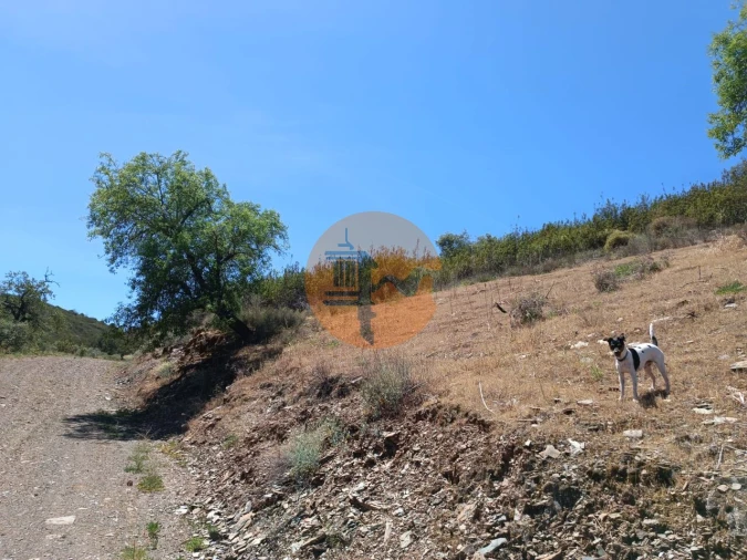 Terreno para Venda em Azinhal Foto 26