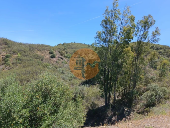 Terreno para Venda em Azinhal Foto 29