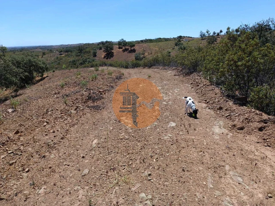 Terreno para Venda em Azinhal Foto 3