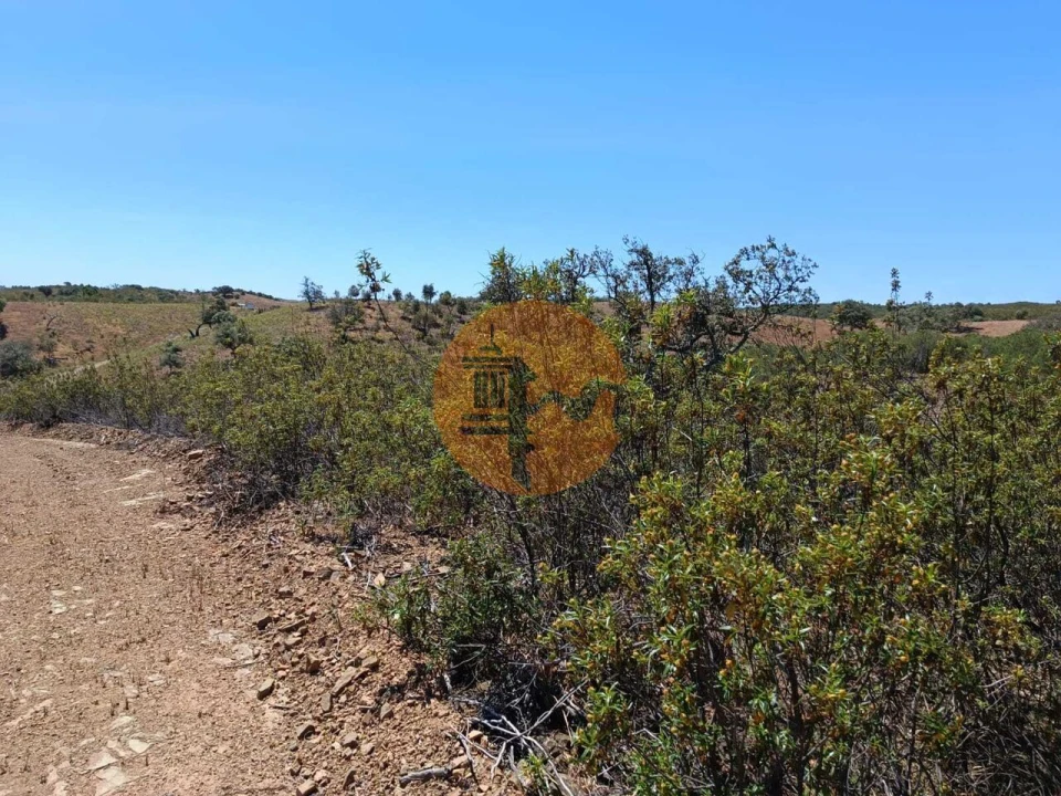 Terreno para Venda em Azinhal Foto 4
