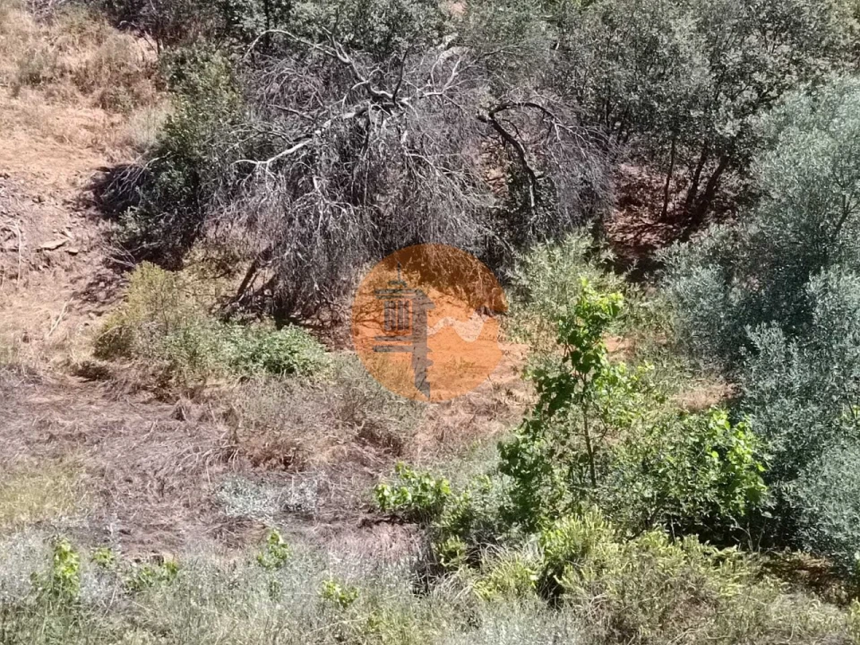 Terreno para Venda em Azinhal Foto 6