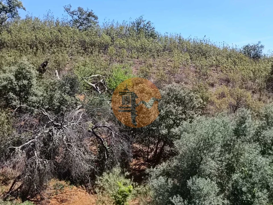 Terreno para Venda em Azinhal Foto 10