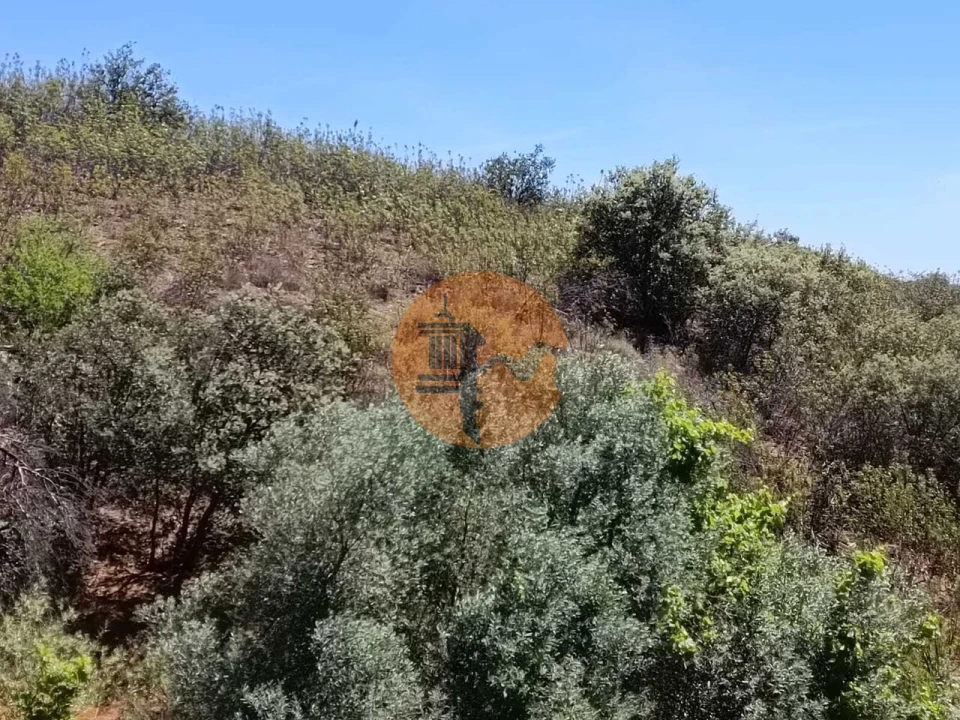 Terreno para Venda em Azinhal Foto 11