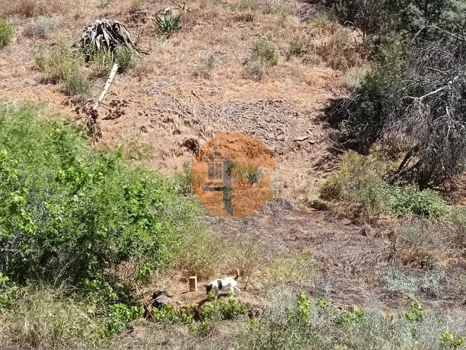 Terreno para Venda em Azinhal Foto 14