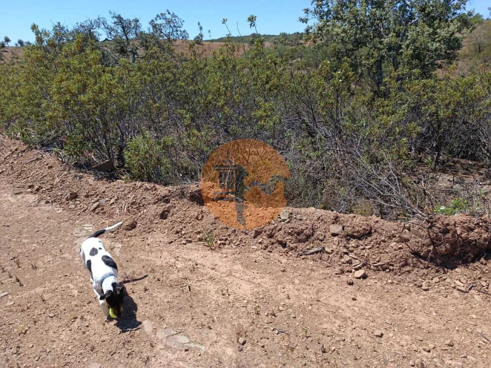 Terreno para Venda em Azinhal Foto 15