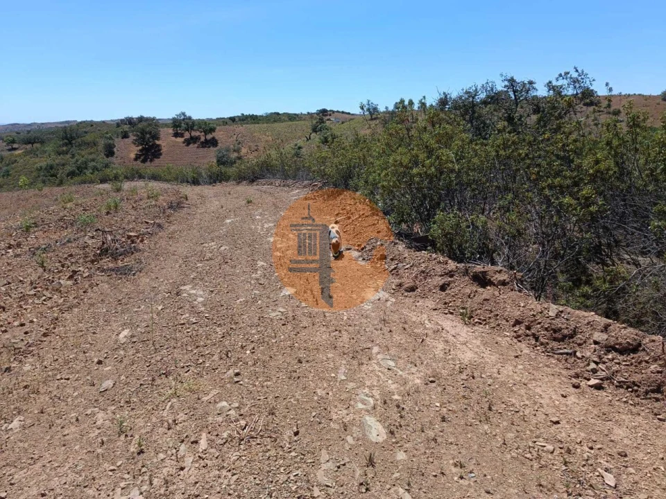 Terreno para Venda em Azinhal Foto 16
