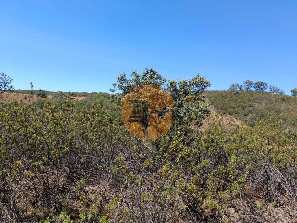 Terreno para Venda em Azinhal Foto 19