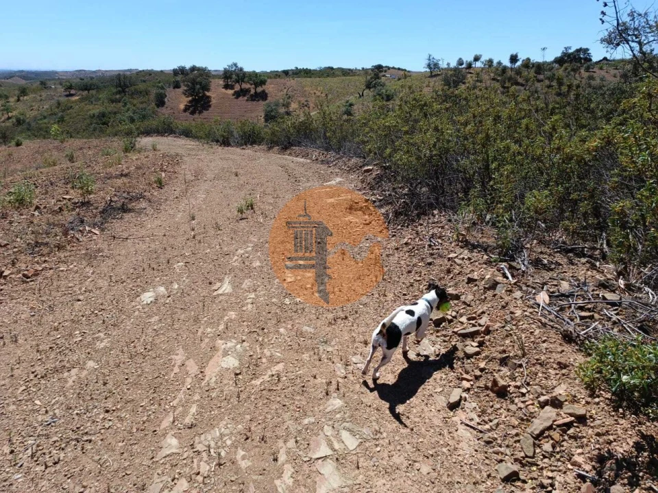 Terreno para Venda em Azinhal Foto 20
