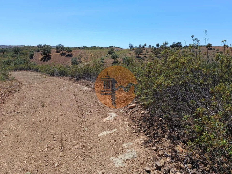 Terreno para Venda em Azinhal Foto 25