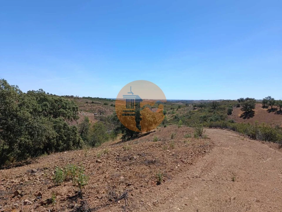 Terreno para Venda em Azinhal Foto 26