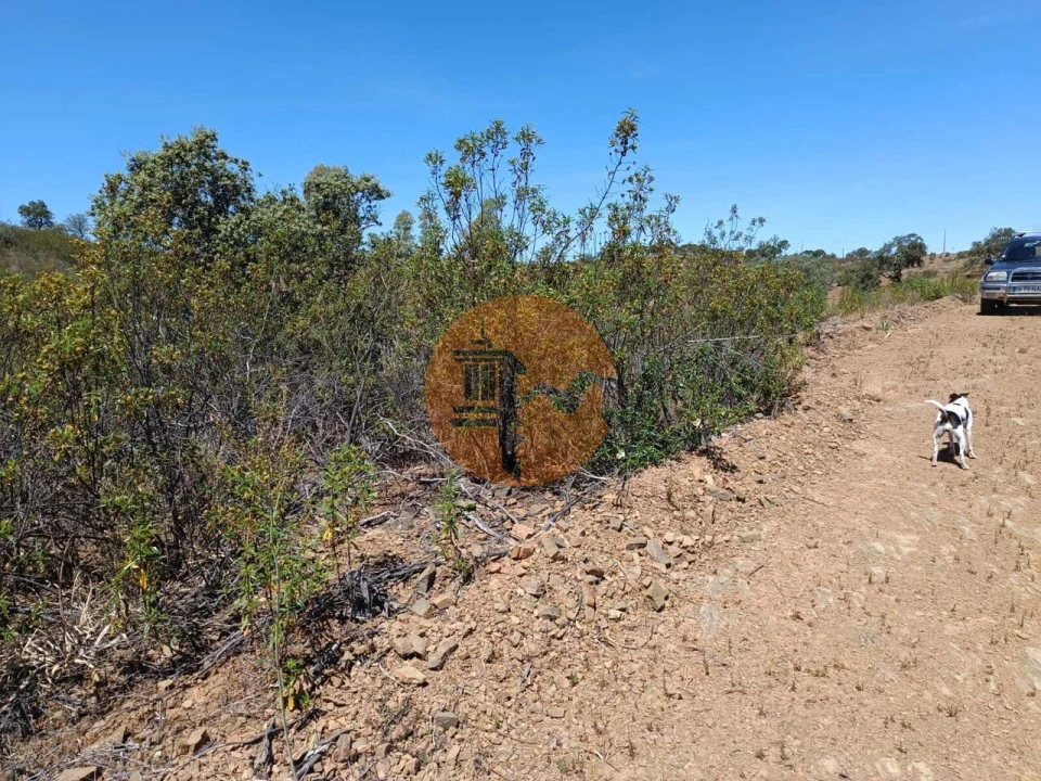 Terreno para Venda em Azinhal Foto 27