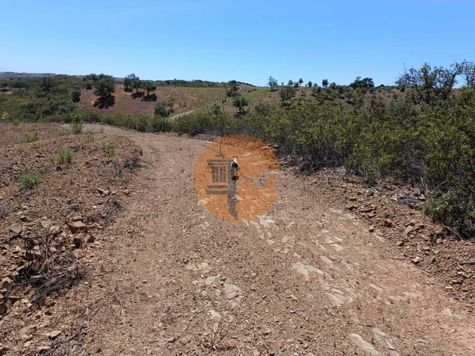 Terreno para Venda em Azinhal Foto 28