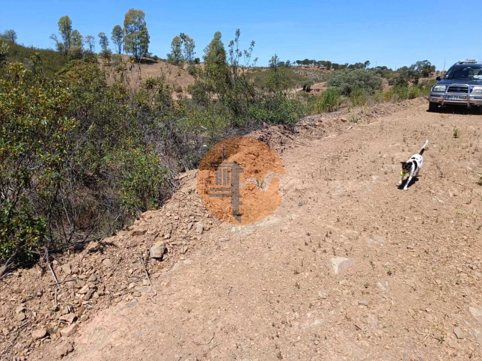 Terreno para Venda em Azinhal Foto 29